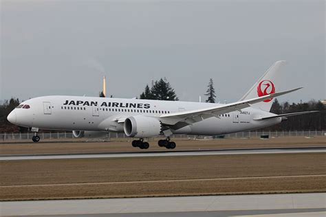 japan airlines fleet